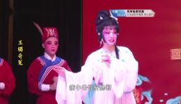 玉镯奇冤