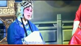 淮剧《金殿认子》宋道林徐红珠演唱，经典剧情在线下载