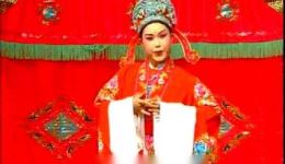 双婚配