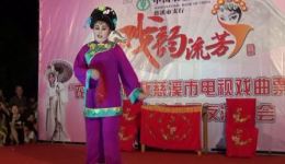 姚剧《嫖情》杨能娣徐秀英主演，经典情感大戏在线下载，尽享戏曲魅力下载