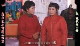 庐剧《现代郑小娇》宽屏欣赏版全六集下载,精彩剧情不容错过 庐剧《现代郑小娇》宽屏欣赏版全六集下载,精彩剧情不容错过