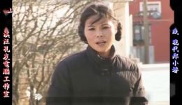 庐剧《现代郑小娇》宽屏欣赏版全集下载 - 共六集高清资源 庐剧《现代郑小娇》宽屏欣赏版全集下载 - 共六集高清资源