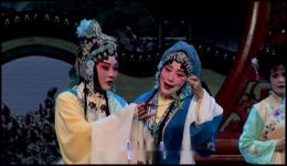 锡剧《玉蜻蜓·探病》高清下载|彭伊娜王思云主演经典名剧完整资源 锡剧《玉蜻蜓·探病》高清下载|彭伊娜王思云主演经典名剧完整资源