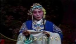 芦花记