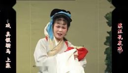 庐剧《真假驸马》盛小五主演 共两集 完整戏曲资源在线下载 庐剧《真假驸马》盛小五主演 共两集 完整戏曲资源在线下载