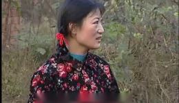 庐剧《谁的错》全集下载 - 孙道华主演四集完整版资源