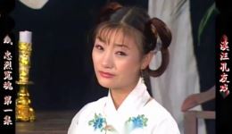 庐剧《忠烈冤魂》欣赏版全集下载，六集经典戏曲资源在线获取