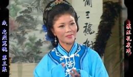 庐剧《忠烈冤魂》欣赏版全集在线观看，共六集高清资源，经典地方戏曲免费欣赏