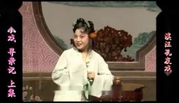 庐剧《寻亲记》欣赏版下载，共两集经典戏曲资源在线获取
