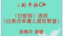 淮剧《白蛇转》选段《白素贞幸遇儿塔前聚首》徐佩华演唱 经典戏曲在线下载