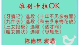 淮剧经典选段下载牙痕记、九件衣、三女抢板、哑女告状，陈德林倾情演唱