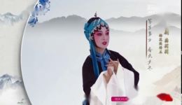 鸿雁传书·只见鸿雁腾了空