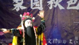 杀奢