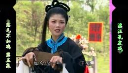 庐剧《凤凰落毛不如鸡》欣赏版全集下载，魏小波汪莉王小兰主演六集完整呈现