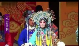 豫剧《宇宙锋》吴素贞精彩演唱片段，坐龙车出相府悲愤恨怨在线收听