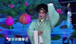 京剧《白蛇传》王曼娜桑围志主演，经典爱情戏曲在线下载下载