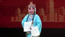 京剧《凤还巢》谢姿燕高湘利精彩演绎，经典戏曲在线观看下载下载