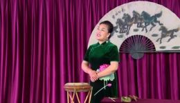 长篇乐亭大鼓《小八义》第三回在线下载，赵蕊倾情演唱，经典连播不容错过