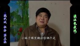 庐剧《私奔》盛小五夏巧云主演，共四集完整版，在线下载欣赏