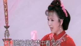沪剧《家》洞房选段下载，杨飞飞赵春芳等名家演绎，经典洞房剧情全呈现下载