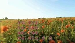豫剧戏歌《没有共产党就没有新中国》完整版下载，小香玉献礼建党百年经典演绎