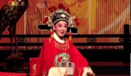 黄梅戏《女驸马》下半场高清下载 - 韩再芬等主演经典戏曲资源下载