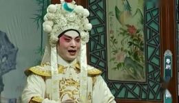苦凤莺怜