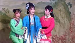 扬剧《分裙记》投井片段下载，李治娟经典演唱，高清戏曲资源速取