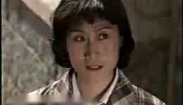 吕剧《李二嫂改嫁后传》全剧资源下载 - 经典戏曲在线获取 吕剧《李二嫂改嫁后传》全剧资源下载 - 经典戏曲在线获取