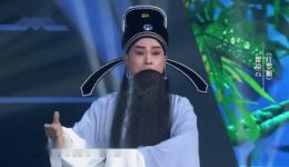 黄梅戏《红罗帕》翟凌云精彩演绎,经典戏曲资源在线下载 黄梅戏《红罗帕》翟凌云精彩演绎,经典戏曲资源在线下载