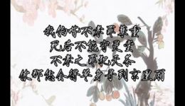 卫鸣岐沪剧传统剧目选段下载|经典沪剧片段资源 速领! 卫鸣岐沪剧传统剧目选段下载|经典沪剧片段资源 速领!