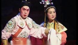 婺剧《女皇错断梨花案》碟片上集下载 - 衢州婺剧团经典演绎下载