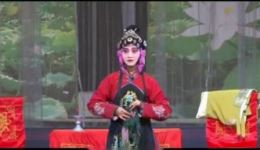 茂腔《借年》选段免费资源下载，经典民间生活戏曲在线收听