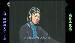 庐剧《狸猫换太子》欣赏版下载,周小五演唱,共两集完整呈现 庐剧《狸猫换太子》欣赏版下载,周小五演唱,共两集完整呈现