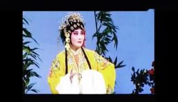 淮剧《金水桥》选段下载，裔小琴经典演唱，完整戏曲资源免费获取