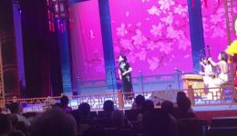 河南坠子《借髢髢》经典戏曲资源下载，传统曲艺精彩呈现