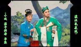 庐剧《孬子拜寿》欣赏版全集在线下载,魏小波等主演,高清完整资源一键获取 庐剧《孬子拜寿》欣赏版全集在线下载,魏小波等主演,高清完整资源一键获取