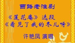 西路淮剧《莲花庵》选段许艳凤深情演绎《看见了我的冬儿呀》经典唱段