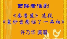 西路淮剧《秦香莲-皇纱宫惹恼了一品相》许乃华演唱，经典戏曲选段在线下载