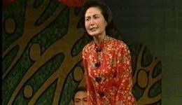 丑嫂