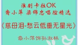 淮剧卡拉OK精选裔小萍梁锦忠经典唱腔全集，MP4视频43分钟下载