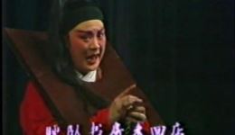 越剧经典《何文秀》裘苗芹陈书君演唱，凄美爱情故事在线下载
