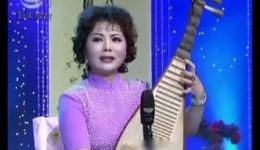 苏州评弹《杨乃武选回 淑英告状》陆嘉乐方晏磊演唱，经典弹词选段在线下载