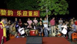 婺剧《河西国逼我伐宋》胡苏君演唱，经典唱段在线观看与下载下载