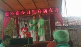通剧《王清明》资源下载经典剧情全收录，精彩演绎不容错过