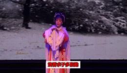 越剧《金殿认子》第二场高清资源下载|经典唱段全剧呈现,见证金殿认子惊心动魄 越剧《金殿认子》第二场高清资源下载|经典唱段全剧呈现,见证金殿认子惊心动魄