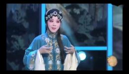 豫剧《失子惊疯》李会精彩演绎，桑派名剧片段在线下载