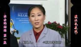 庐剧现代戏《嫁不出去的姑娘》欣赏版全集下载,共六集高清资源 庐剧现代戏《嫁不出去的姑娘》欣赏版全集下载,共六集高清资源