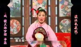 庐剧小戏《傻大姐吵嫁》欣赏版 共一集 免费在线观看与下载 庐剧小戏《傻大姐吵嫁》欣赏版 共一集 免费在线观看与下载