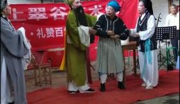 婺剧《麻风告状》片段在线观看，高云凤精彩演绎，地方戏曲经典呈现